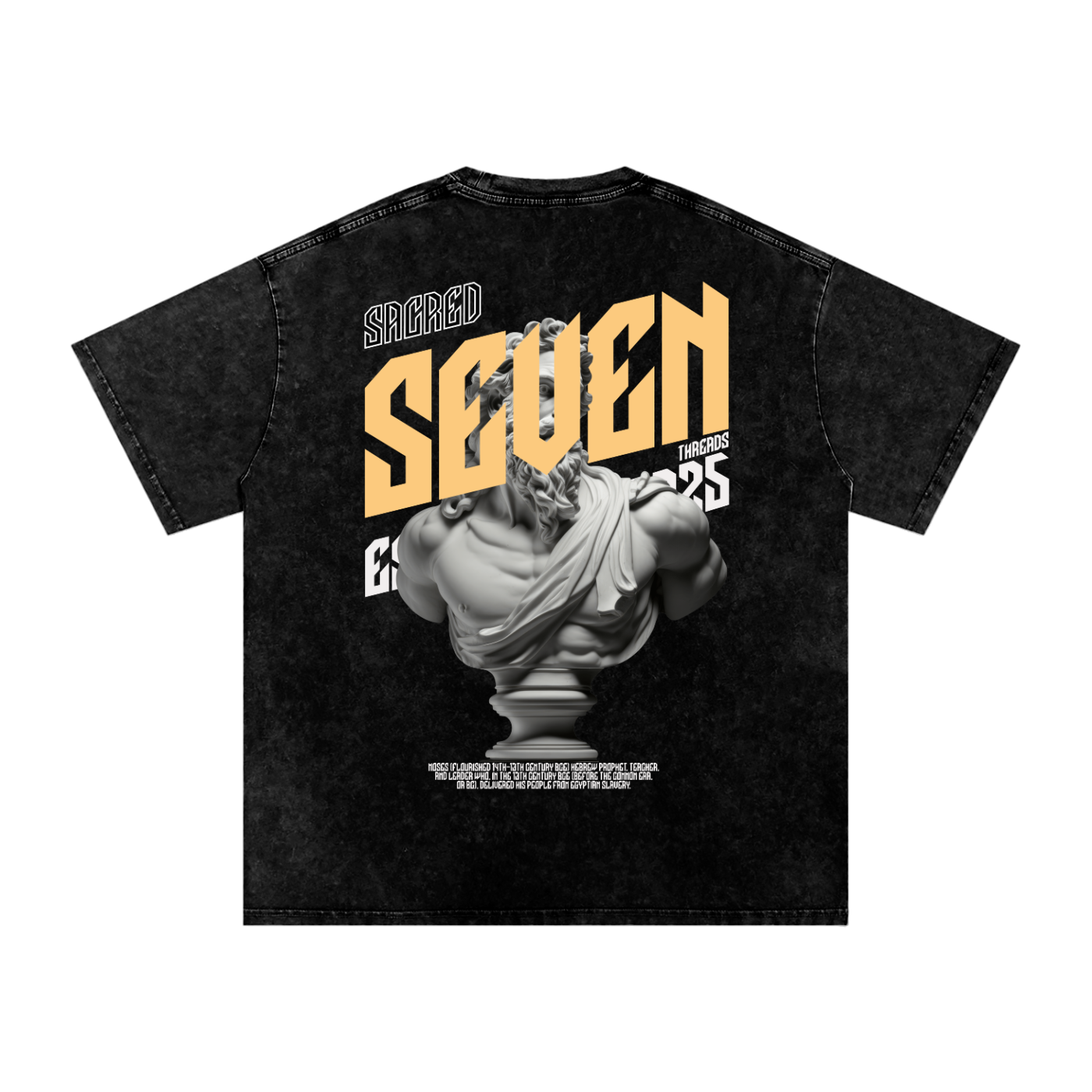 Sacred Seven Washed T-Shirt